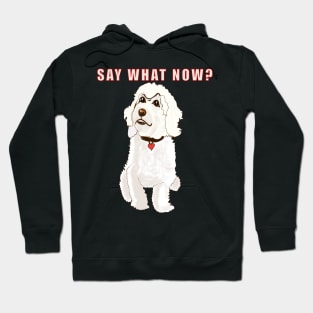 Say what now ? Cavapoo Cavoodle  Cavapoochon white attitude - cute cavalier King Charles spaniel Bichon frise Hoodie